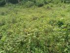 Land for Sale in Nawala