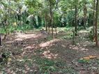 Land for Sale In Nawala