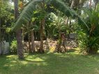 Land for Sale in Nawala – Temple Road (EM137RN)