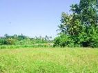 LAND FOR SALE IN NAWALA.LS644
