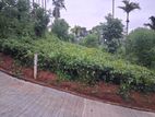 Land for Sale in Nawalapitiya