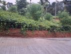 Land for sale in Nawalapitiya