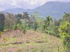 Land for Sale in Nawalapitiya
