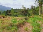 land for sale in Nawalapitiya