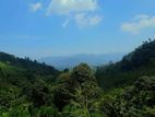 Land for sale in Nawalapitiya / RU 14830