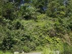 Land for sale in Nawalapitiya / RU 14830