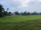 Land For Sale In Nawinna