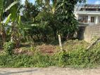 Land For Sale in Nawinna