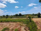 land for sale in near by to anuradhapura nachchaduwa road