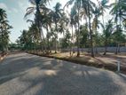 Land for Sale in Near Dankotuwa Ago Office