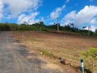 Land For Sale In Near Dodangoda Town