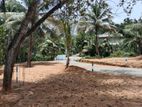 Land For Sale In Near NSBM, Homagama