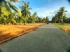 Land for Sale in Near Pannipitiya Dharmapala School