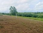 Land for Sale in Near to Darga Town