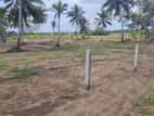 Land for Sale in Nearby to Anuradhapura Nachchaduwa Road