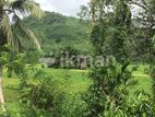 Land for Sale in Neboda