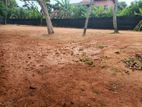 Land for Sale in Nedimala, Dehiwala