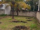 Land for Sale in Negambo, Miriswatta