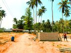 Land for Sale in Negombo - 1001