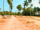 Land for Sale in Negombo - 1040