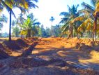 Land for Sale in Negombo - 1096