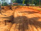 Land for Sale in Negombo - 1265