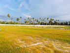 Land for sale in Negombo- (1277)