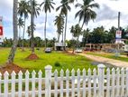 Land For Sale In Negombo - 141