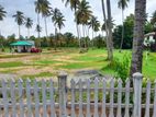 Land for Sale in Negombo - 206