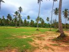 Land for Sale in Negombo - 225