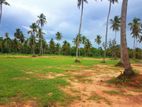 Land for Sale in Negombo - 236