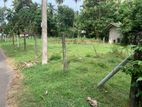 Land for Sale in Negombo - 24.9 Perch