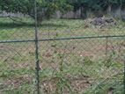 Land for Sale in Negombo 35 Perches
