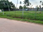 Land for Sale in Negombo Area Kadirana