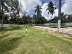 Land for Sale in Negombo - Dalupotha