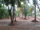 Land for Sale in Negombo Dankotuwa