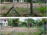 Land for Sale in Negombo