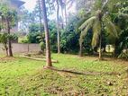Land for Sale in Negombo