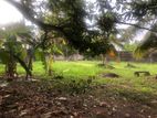 🏡 Land for Sale in Negombo