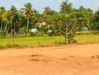 Land for Sale in Negombo