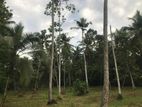 Land For Sale in Negombo