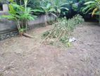 Land for Sale in Negombo