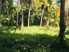 Land for Sale in Negombo