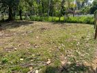 Land for Sale in Negombo