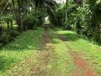 Land For Sale In Negombo