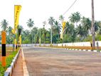 Land for Sale in Negombo