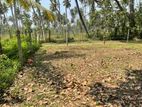 Land for Sale in Negombo