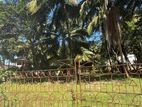 Land For Sale in Negombo