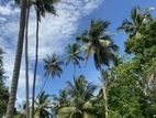 Land for Sale in Negombo