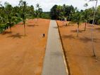 Land for Sale in Negombo